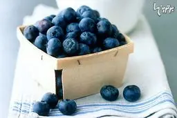 غذاهای ضد استرس!