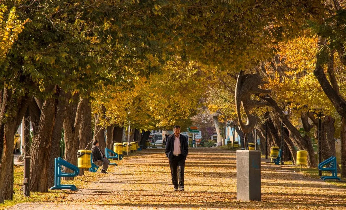 چهره پاییزی خیابان‌های تبریز / تصاویر