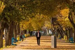 چهره پاییزی خیابان‌های تبریز / تصاویر