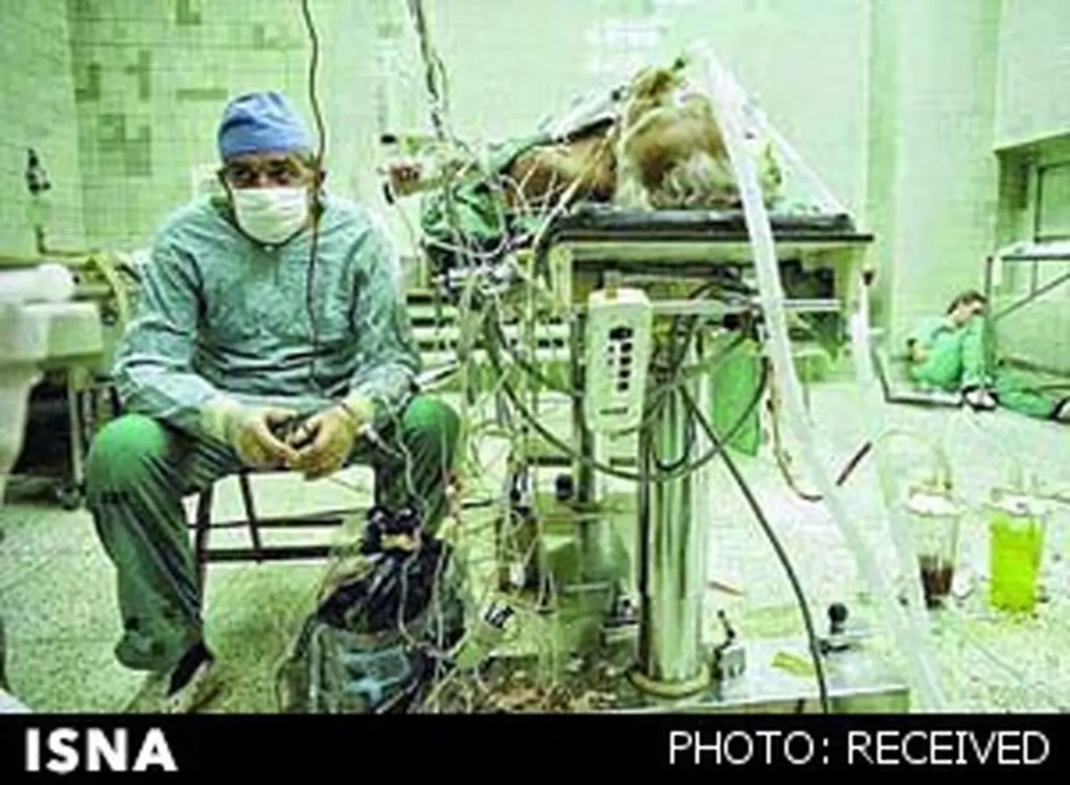 عکسی از یک فداکاری بزرگ