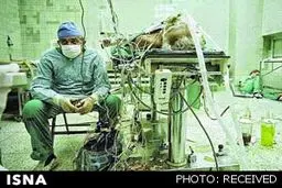 عکسی از یک فداکاری بزرگ