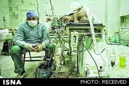 عکسی از یک فداکاری بزرگ