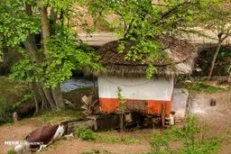 تصاویر جذاب آخرین آسیاب آبی در مازندران