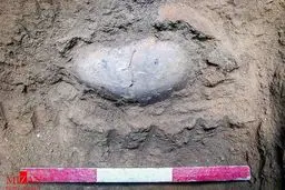 کشف یک ایرانی ۷۵۰۰ ساله/ تصاویر