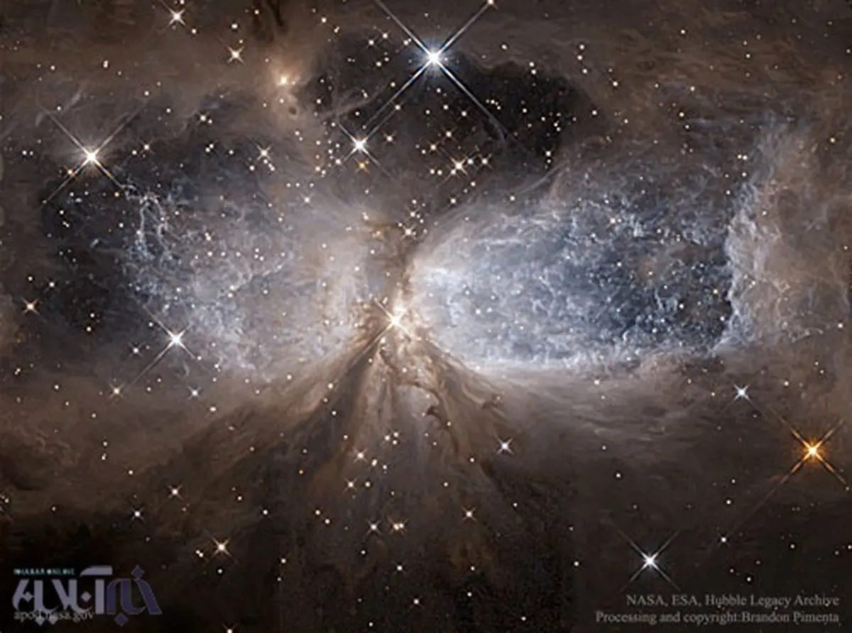 بال‌های یک ستاره جوان جویای نام!/عکس