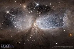 بال‌های یک ستاره جوان جویای نام!/عکس