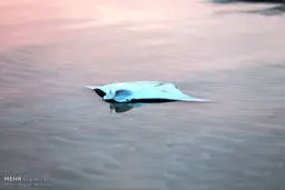 مرگ سفره ماهی‌ها در ساحل قشم/ تصاویر