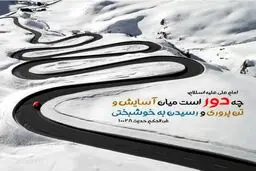 حدیث زیبا امام علی (ع) درمورد رسیدن به خوشبختی