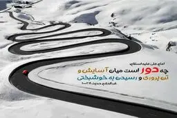 حدیث زیبا امام علی (ع) درمورد رسیدن به خوشبختی