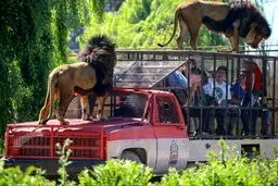 تصاویری از باغ وحشی که انسان‌ها را در قفس می‌کند
