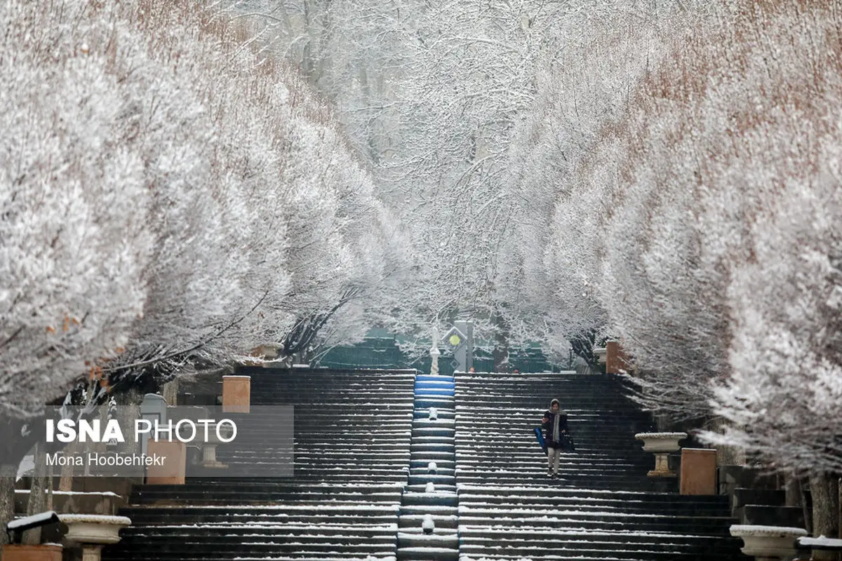 بارش برف تهران را سفیدپوش کرد/تصاویر
