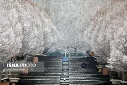 بارش برف تهران را سفیدپوش کرد/تصاویر