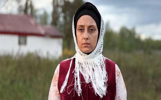 فصل دوم سریال پرحاشیه ایرانی ساخته می شود؟