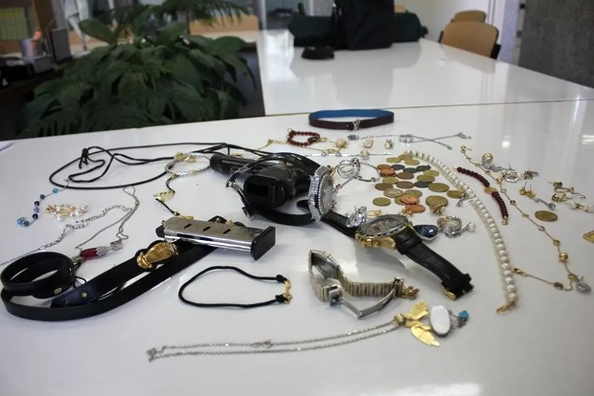 جزئیات دستگیری سارقان مسلح ویلاهای شمال پایتخت