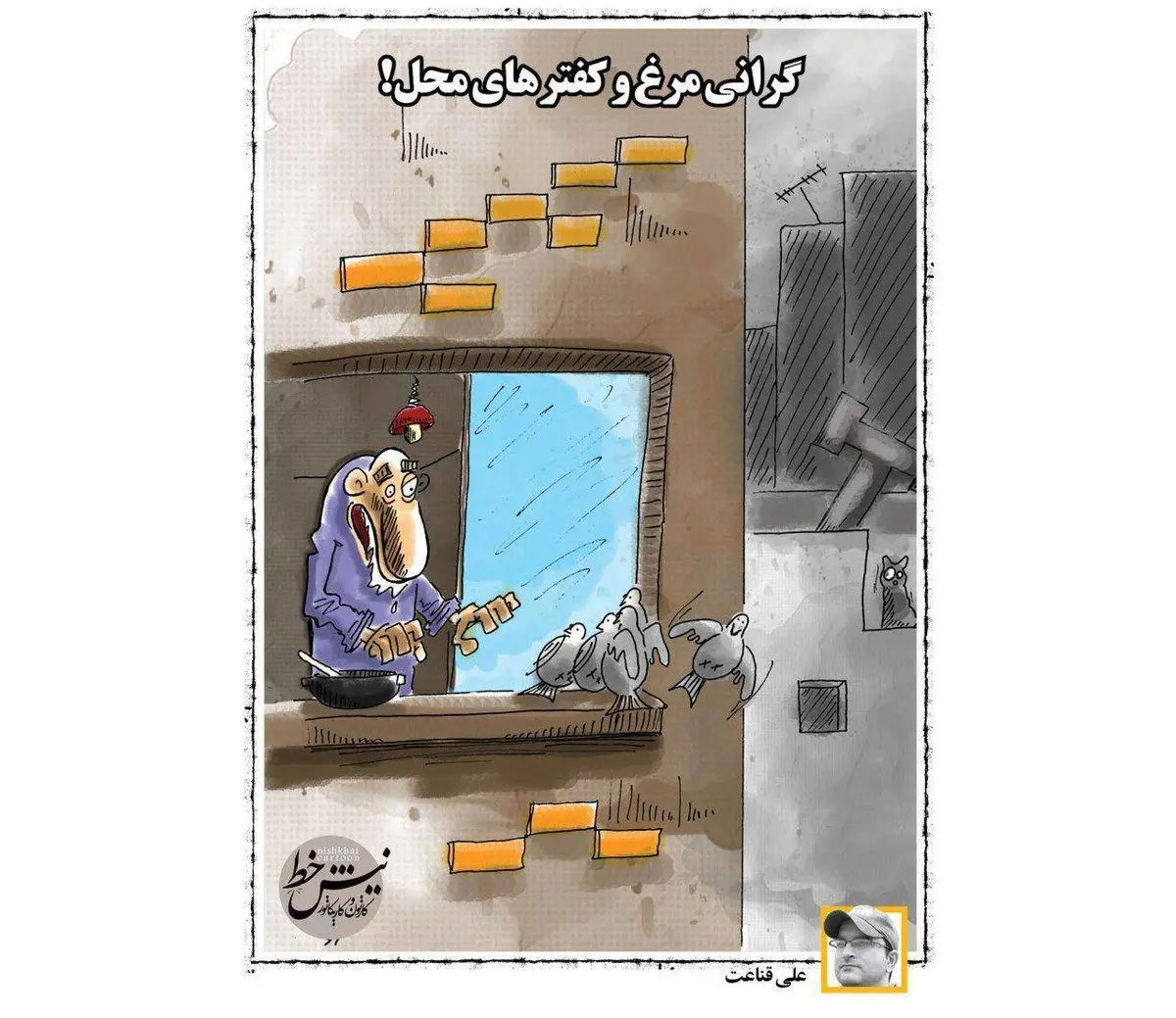 گرانی مرغ و کفترهای محل! / کاریکاتور