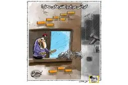 گرانی مرغ و کفترهای محل! / کاریکاتور