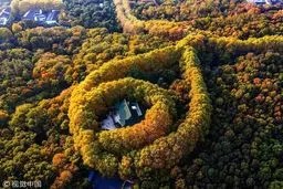 گردنبند بزرگ پاییزی / تصاویر