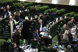 دفاعیات دو نماینده از وزیرپیشنهادی کشاورزی: در دو دوره وزارت حجتی در تولید گندم خودکفا شدیم