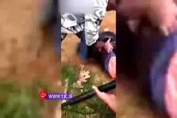 این مرد توسط مار آناکوندا شکار شد! + ویدئو