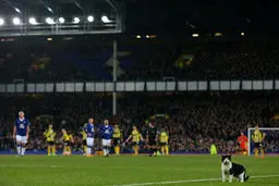 میهمان ناخوانده جام حذفی انگلیس/عکس