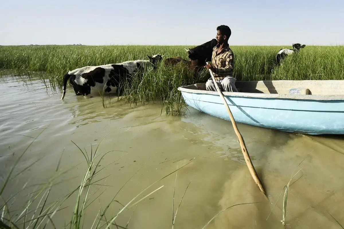 نفس «هامون» باز شد + عکس