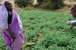 ثروتمندترین روستای "هندوستان" / تصاویر