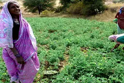 ثروتمندترین روستای "هندوستان" / تصاویر