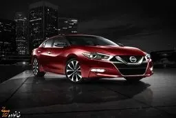 سامورایی خفته بر می خیزد/تصاویر