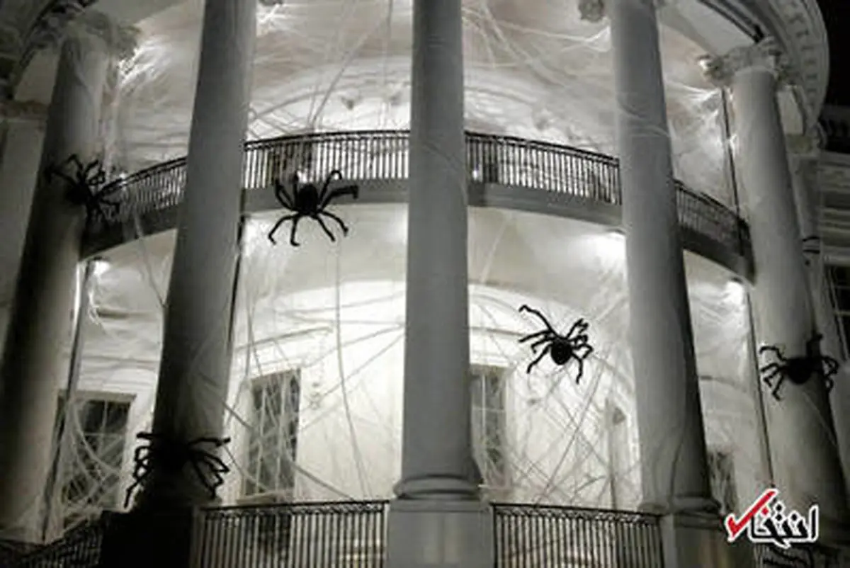 کاخ سفید به تسخیر عنکبوت‌ها در آمد /تصاویر