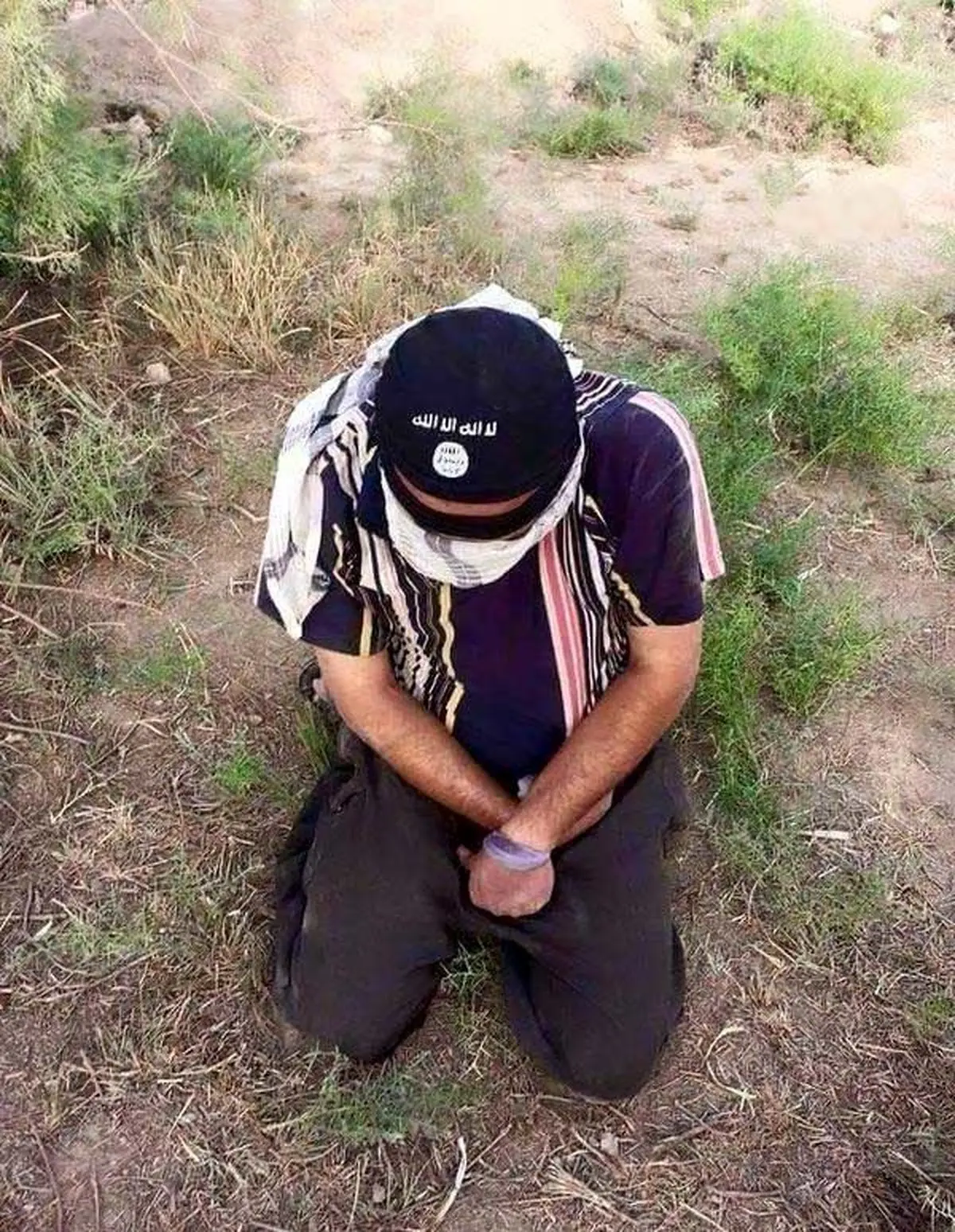 تک تیرانداز داعش در سوراخ موش/عکس