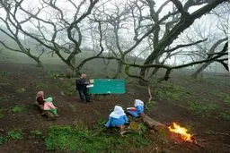 تصویری از یک مدرسه روستایی در جنگل و کنار آتش