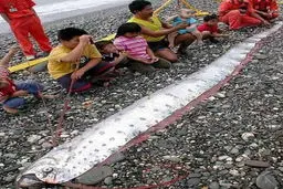 بزرگترین وعجیب ترین ماهی+عکس