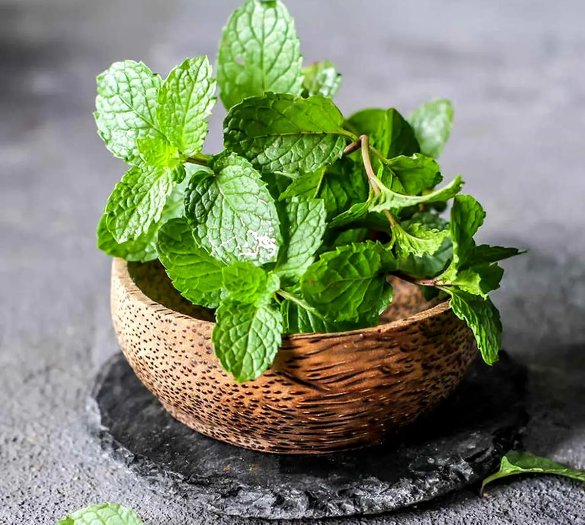 ۸ خاصیت نعنا؛ سبزی که عطرش هوش از سرتان می‌برد