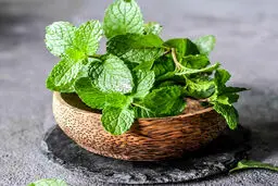 ۸ خاصیت نعنا؛ سبزی که عطرش هوش از سرتان می‌برد