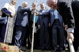 کاشت نهال دوستی با دستان ظریف و نجفی/عکس