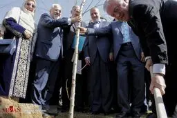 کاشت نهال دوستی با دستان ظریف و نجفی/عکس