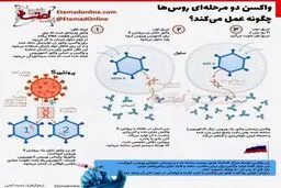 واکسن دو مرحله‌ای روس‌ها چگونه عمل می‌کند؟ + اینفوگرافی