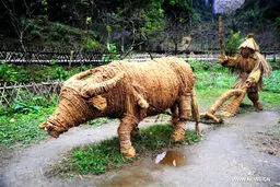 جشنواره جالب هنرهای دستی حصیری + تصاویر