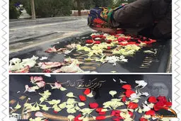 تصویر الناز حبیبی سر مزار مادرش
