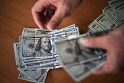 قیمت خرید دلار در بانک ها امروز 15 تیر