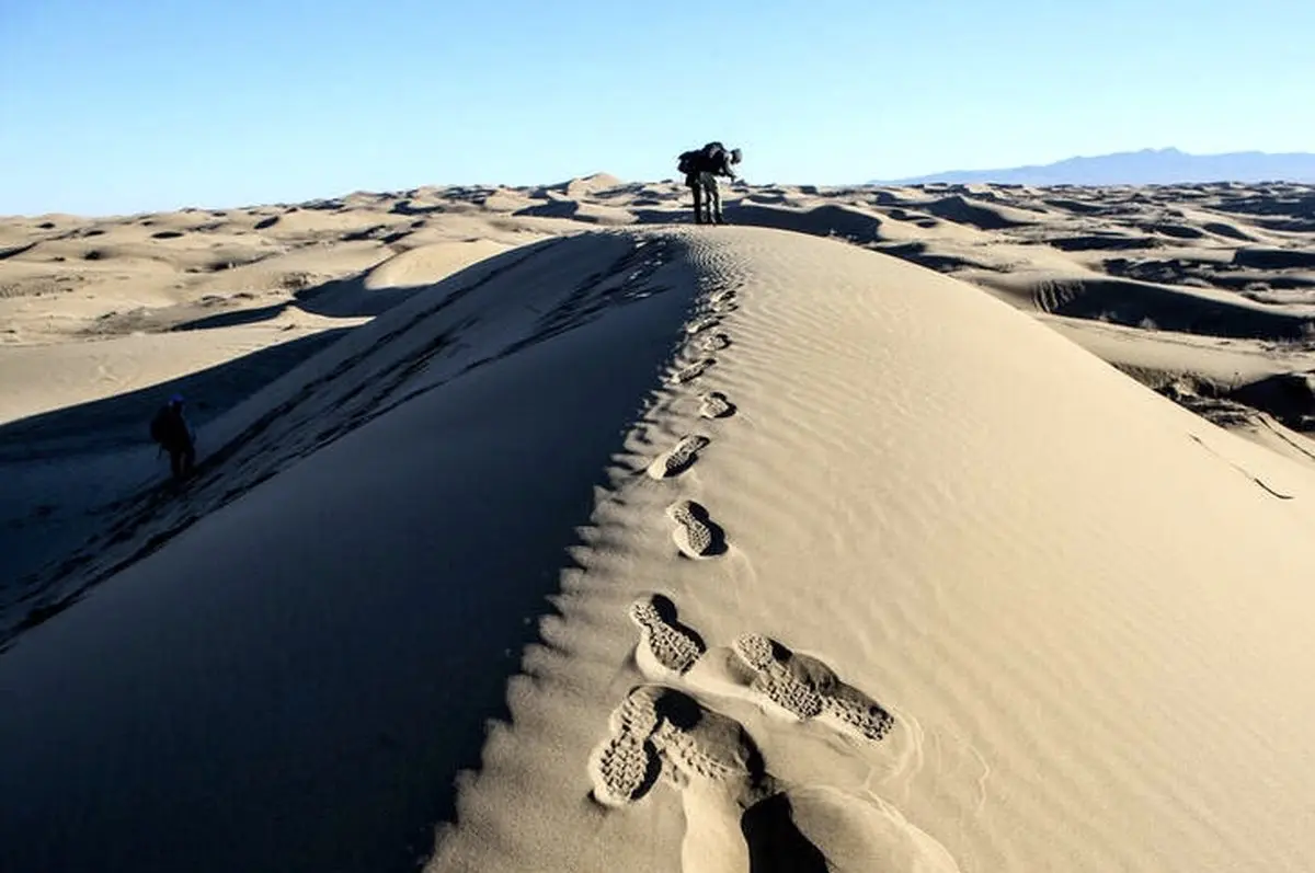 اوج زیبایی در سکوت / عکس