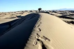 اوج زیبایی در سکوت / عکس