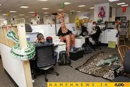 این مکان شگفت انگیز مقر گوگل است+تصاویر