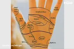 ببینید : درمان آرتروز گردن با روش های فوق العاده