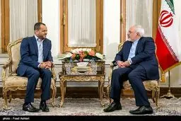 دیدار قائم مقام وزیرخارجه عمان با ظریف/عکس