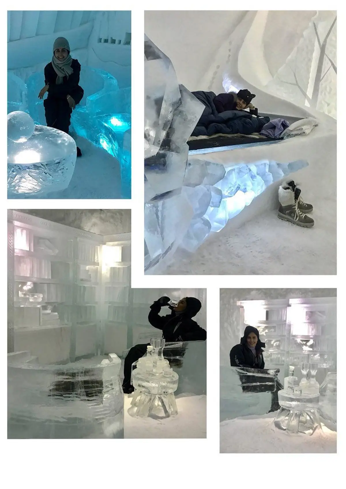 تصویری از الناز شاکردوست در هتل یخی قطب شمال