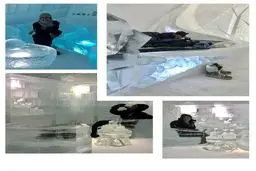 تصویری از الناز شاکردوست در هتل یخی قطب شمال