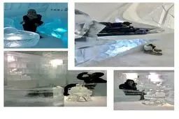 تصویری از الناز شاکردوست در هتل یخی قطب شمال