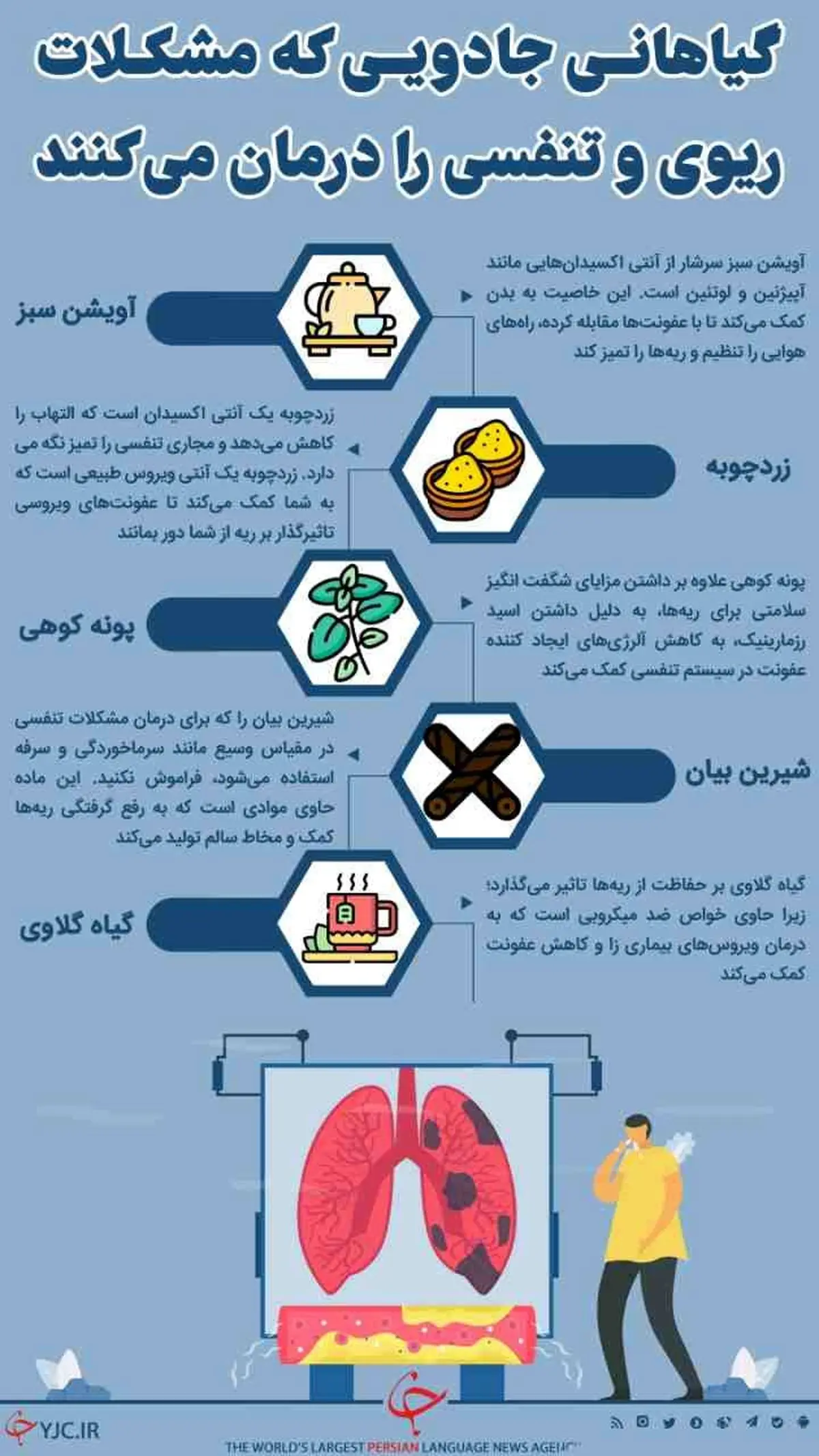 گیاهانی جادویی که مشکلات ریوی و تنفسی را درمان می‌کنند+اینفوگرافیک