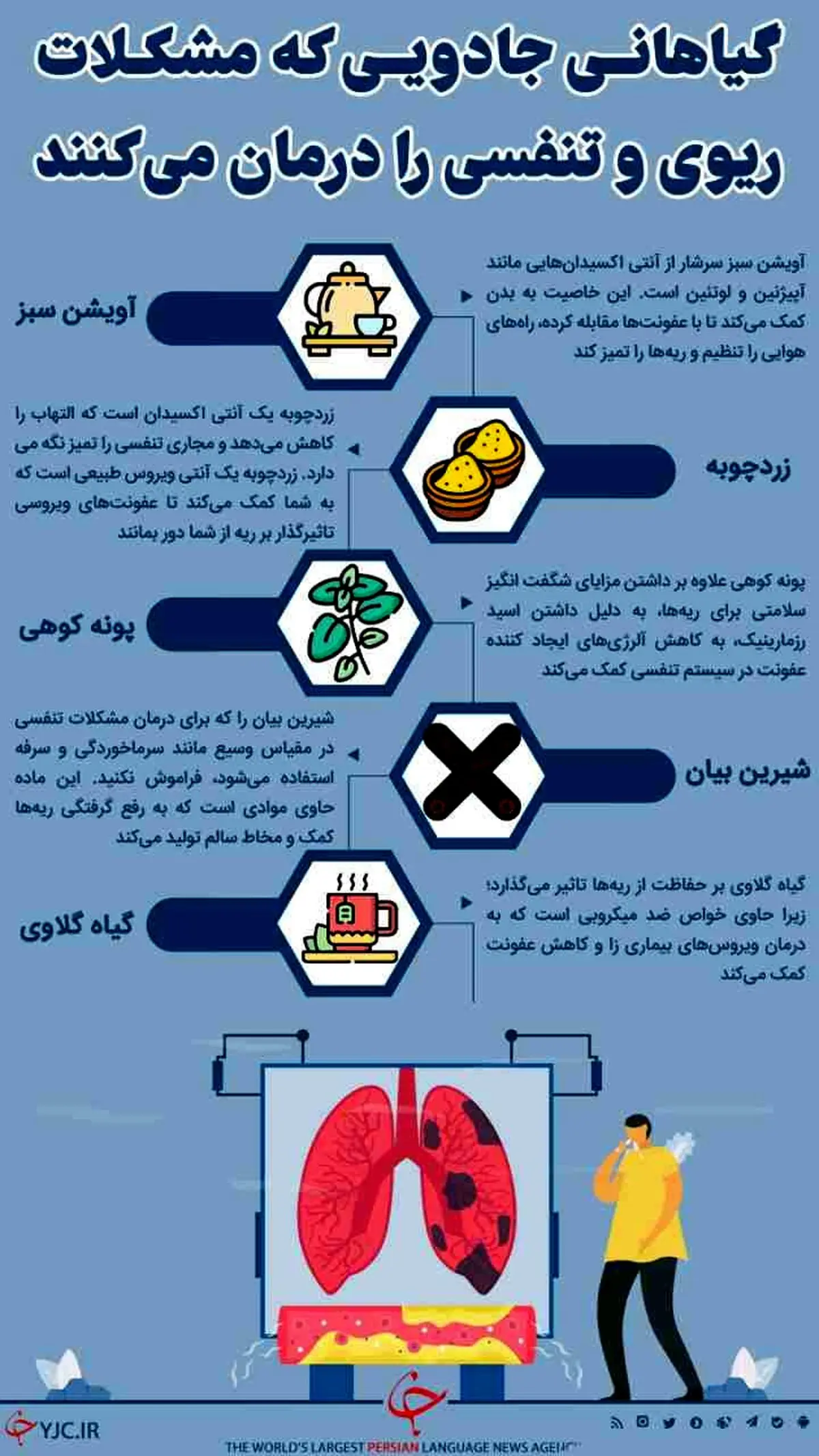 گیاهانی جادویی که مشکلات ریوی و تنفسی را درمان می‌کنند+اینفوگرافیک